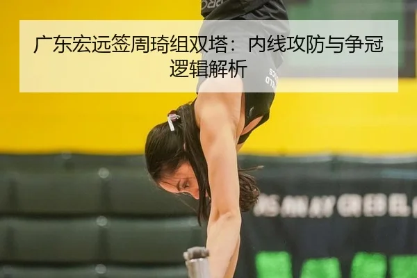 广东宏远签周琦组双塔：内线攻防与争冠逻辑解析